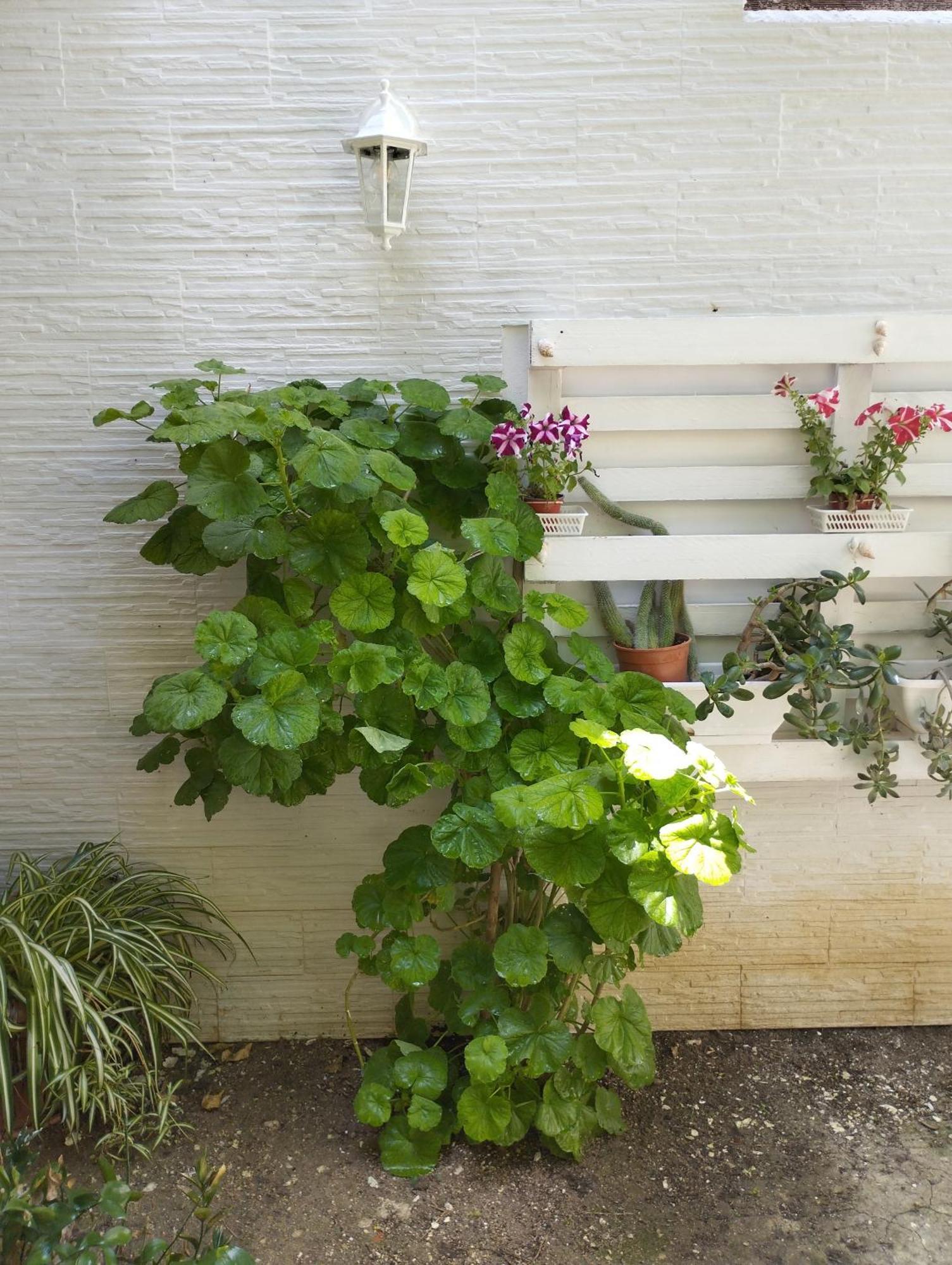 Casa Vacanze Nonna Lina - Trapani Kültér fotó